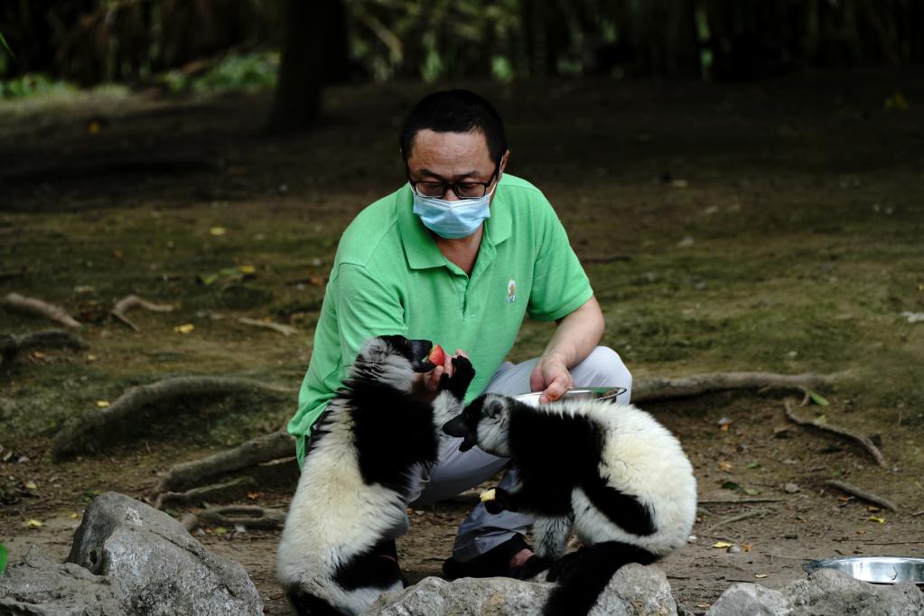 好久不見(jiàn)！上海動(dòng)物園恢復開(kāi)園